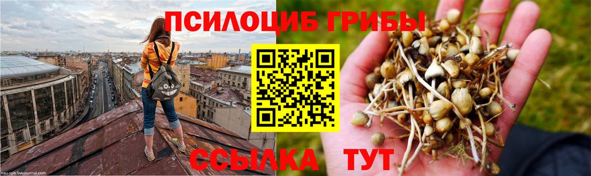 Галлюциногенные грибы мицелий Коряжма
