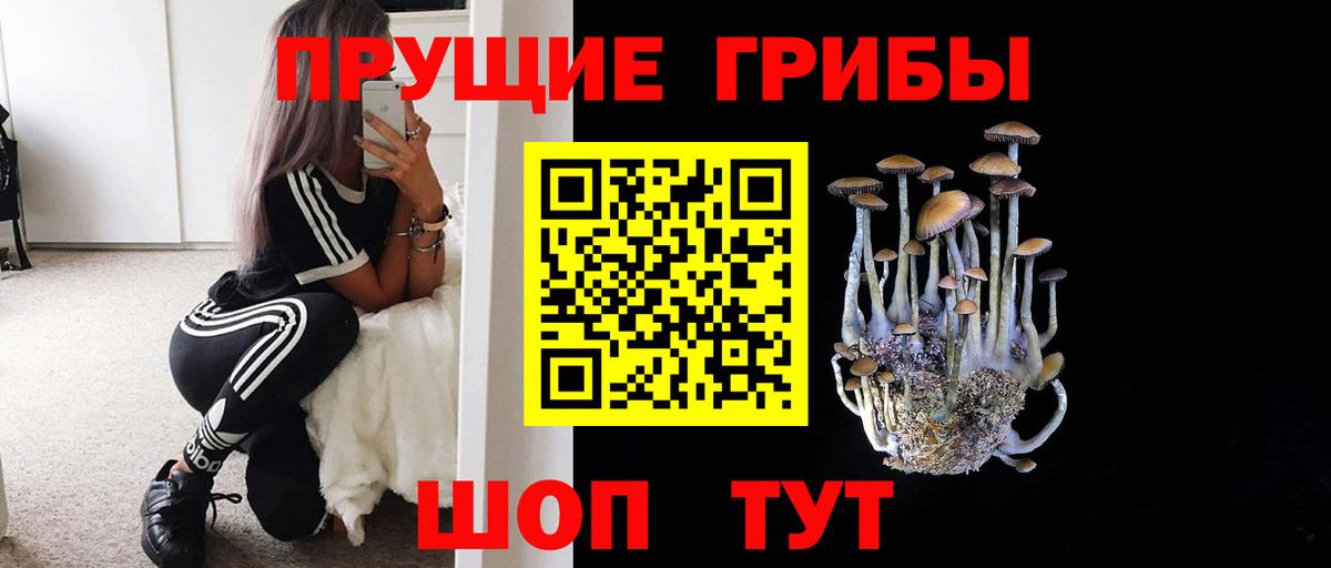 Галлюциногенные грибы Psilocybine cubensis  Псилоцибиновые грибы Psilocybe  Коряжма  Вход с VPN 
